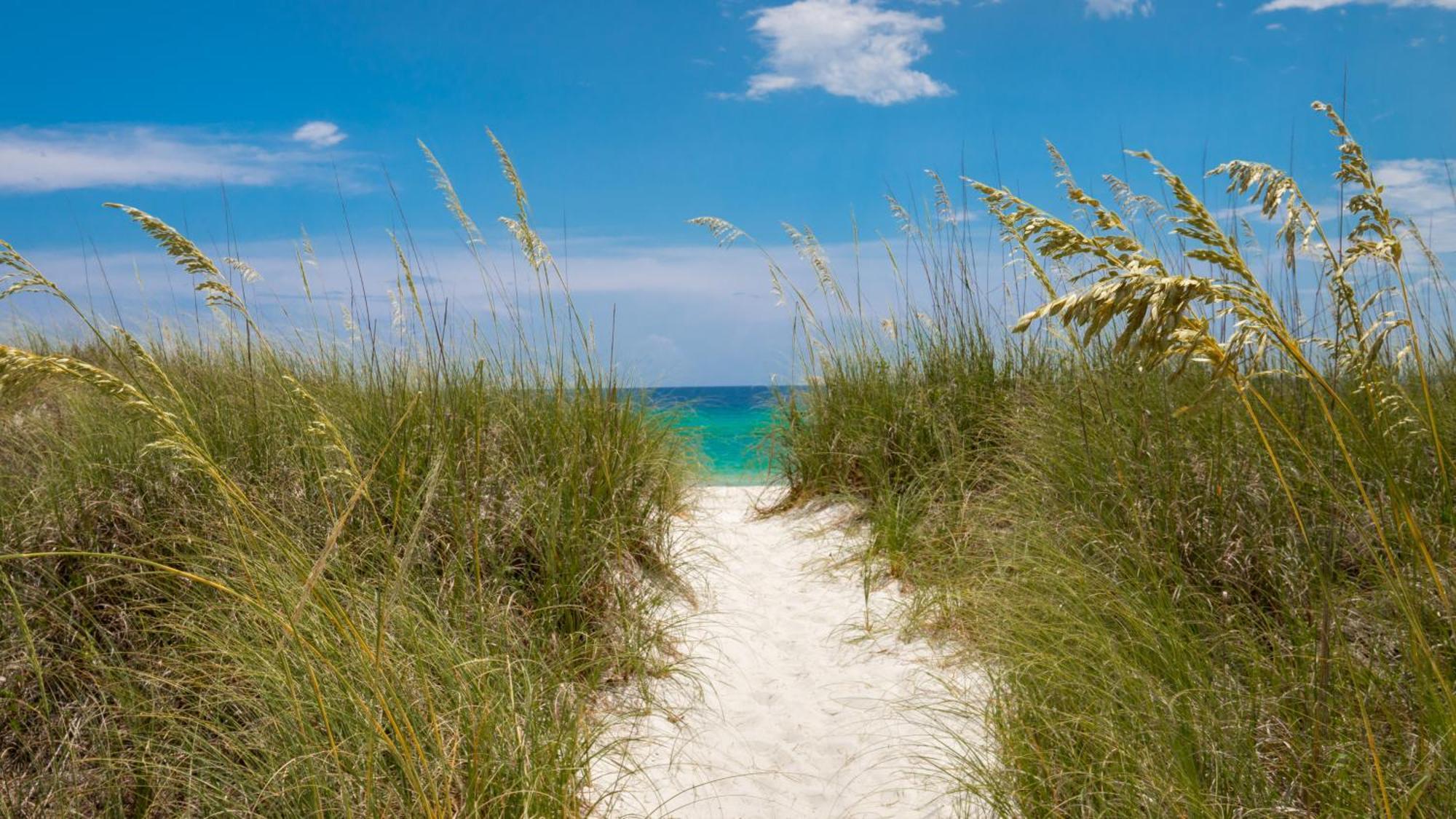 Watercrest 906 * Panama City Beach